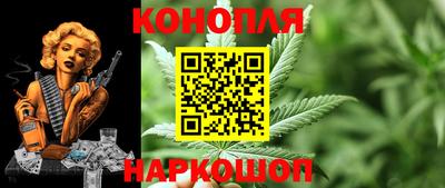 СК Краснодар