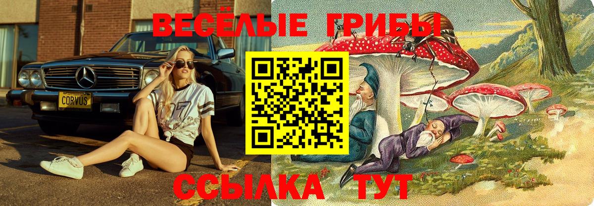 Псилоцибиновые грибы прущие грибы  Галлюциногенные грибы GOLDEN TEACHER  Вход с VPN  Калининград 